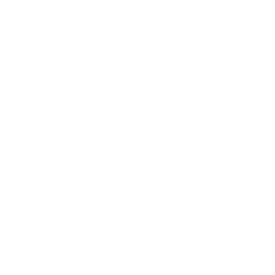 ICÖNE_ISO ASK