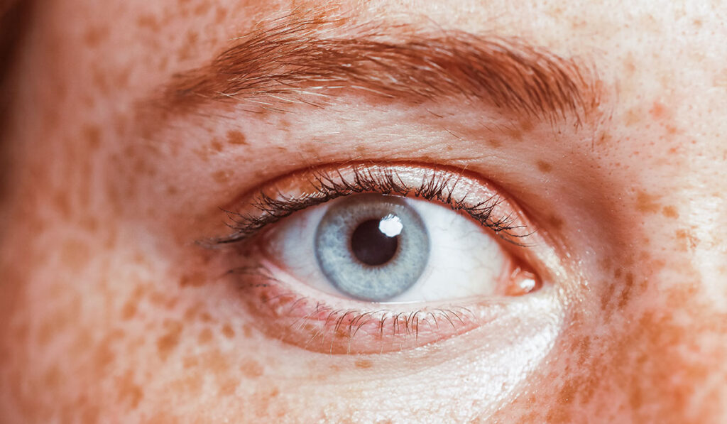 Gros plan sur un œil