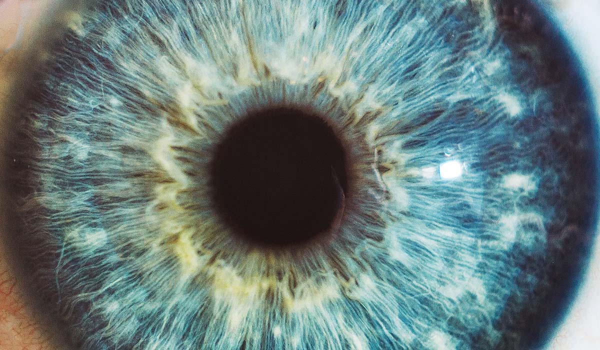 Gros plan sur un œil